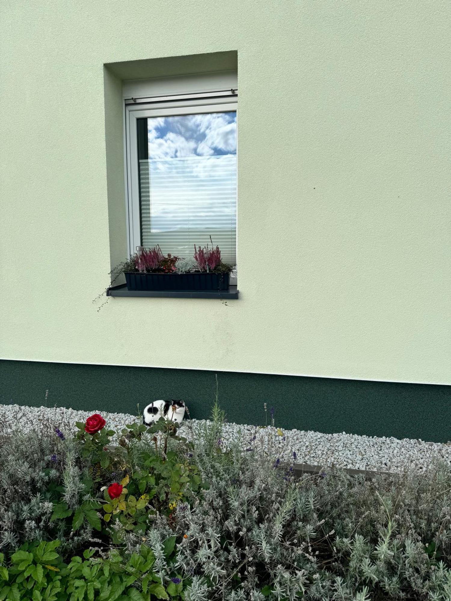 Appartamento Viridi Radomierz Esterno foto