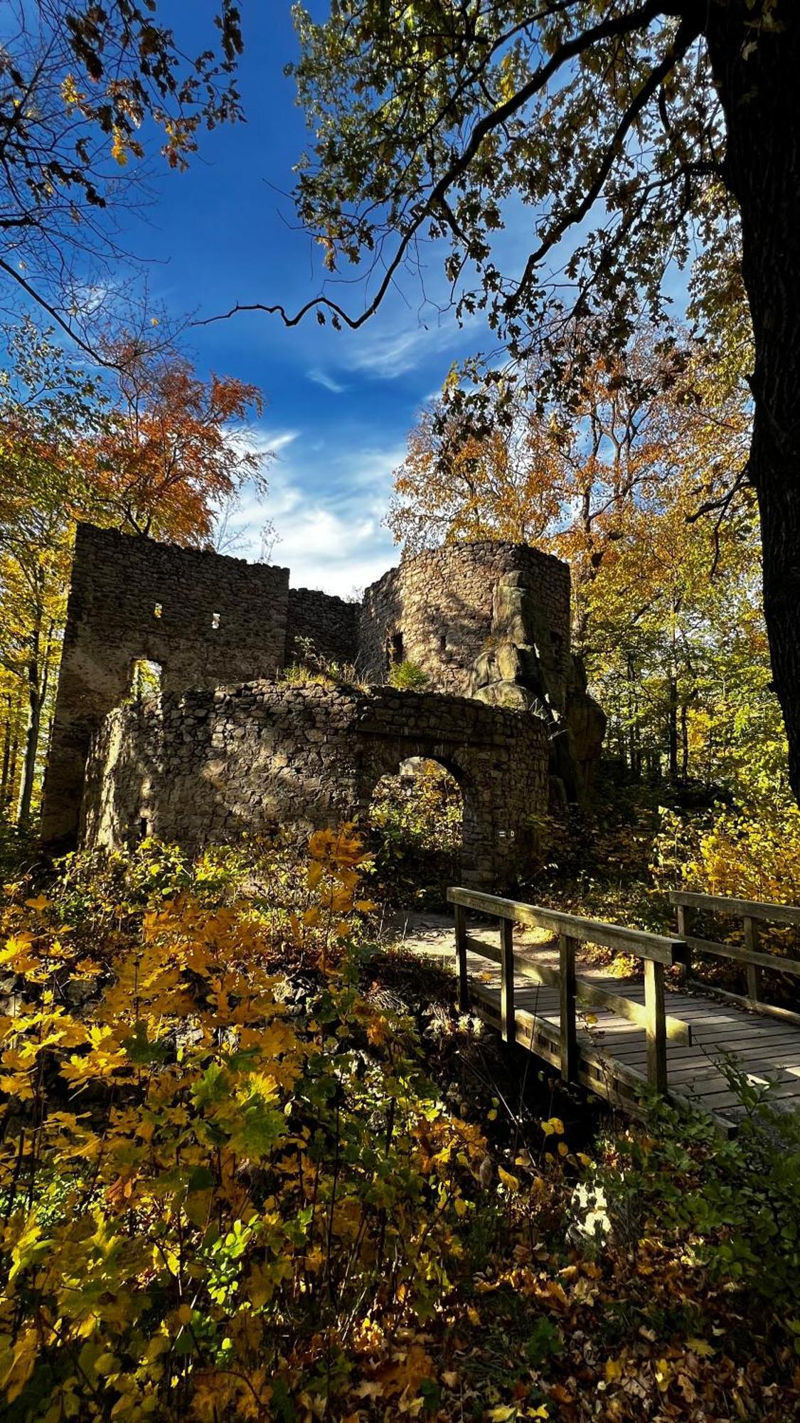 Appartamento Viridi Radomierz Esterno foto