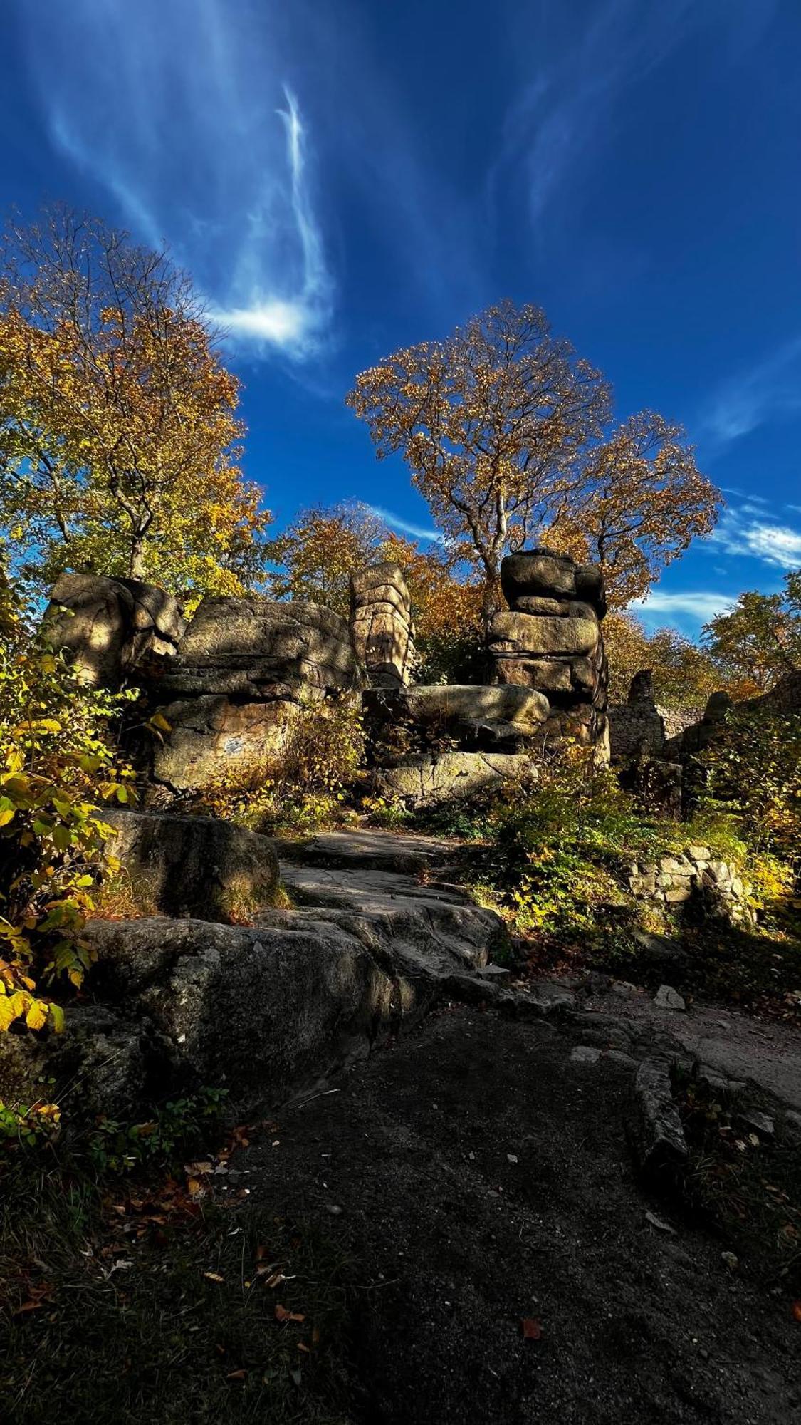 Appartamento Viridi Radomierz Esterno foto