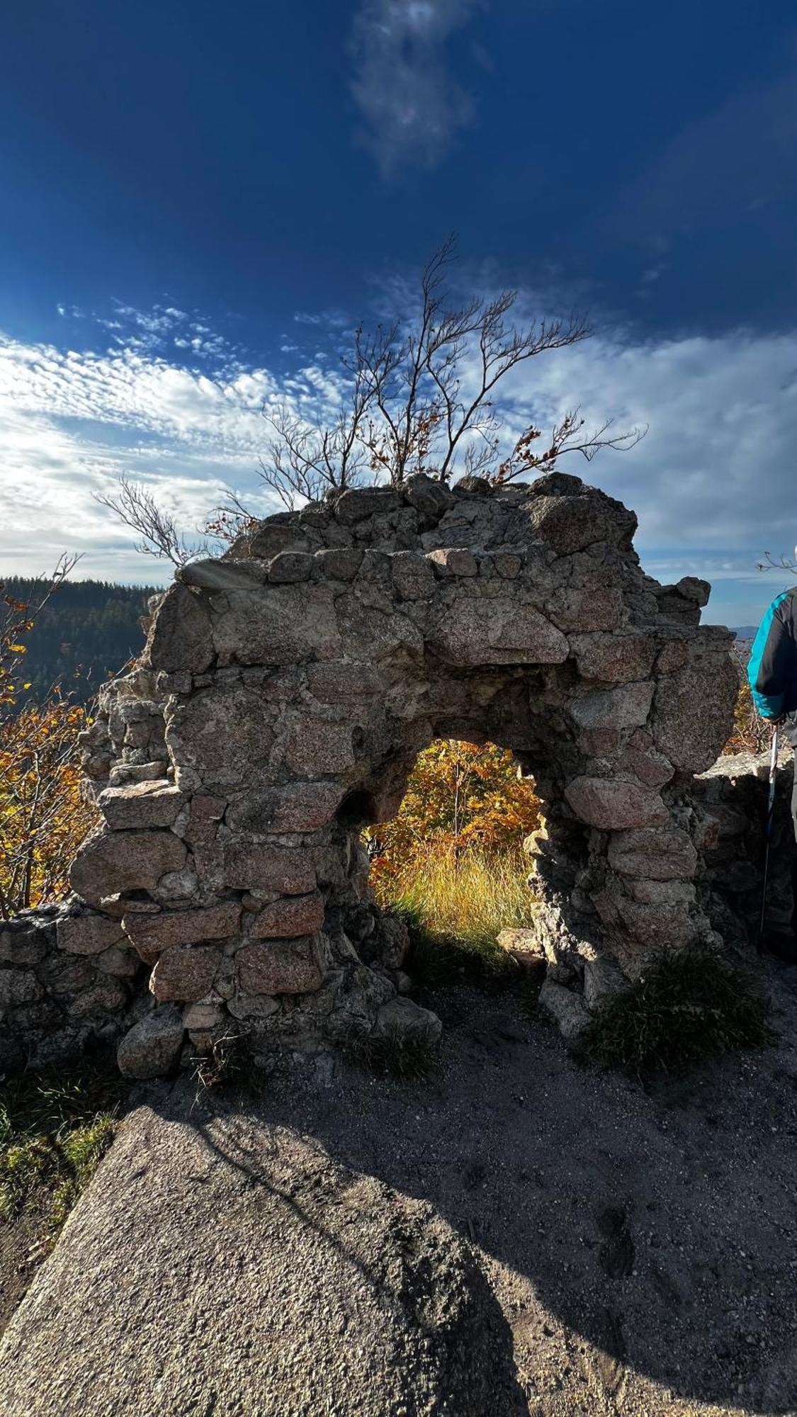 Appartamento Viridi Radomierz Esterno foto